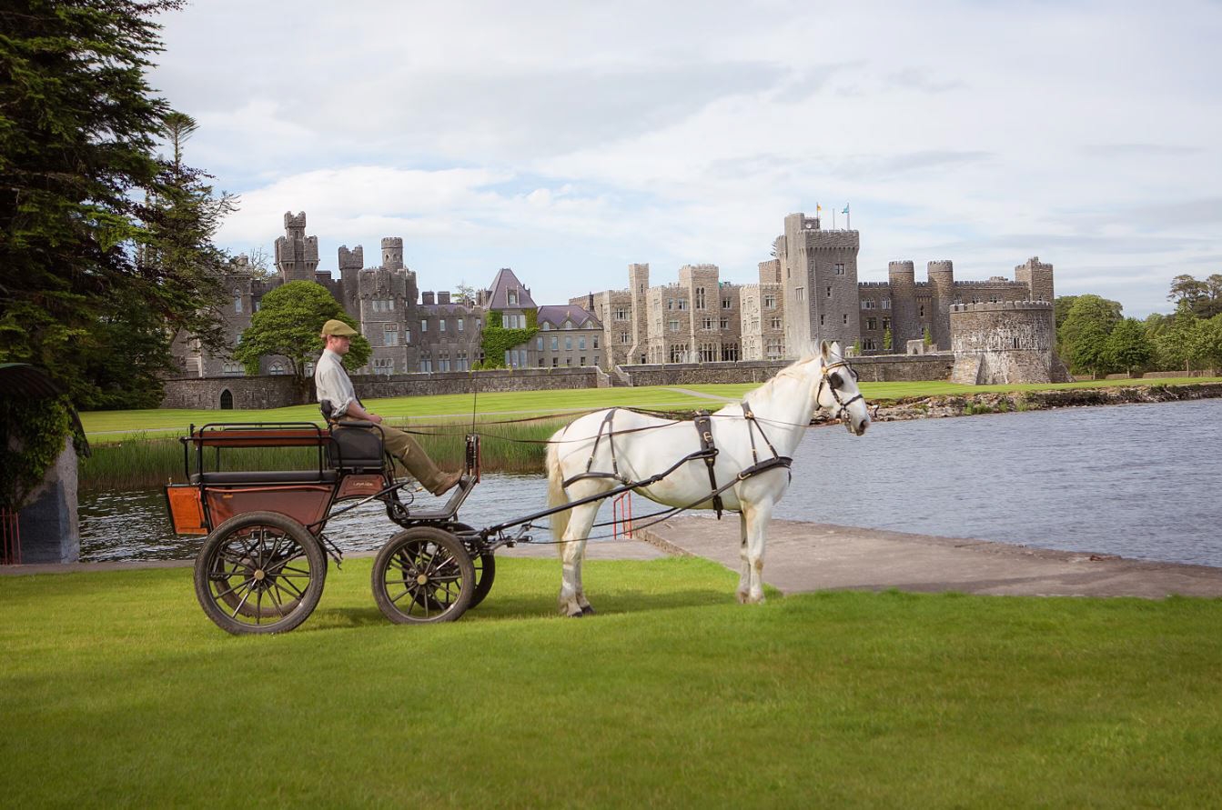 Woodland Carriage Tour